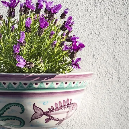 La Piazza - 3* بورتو رافاييل